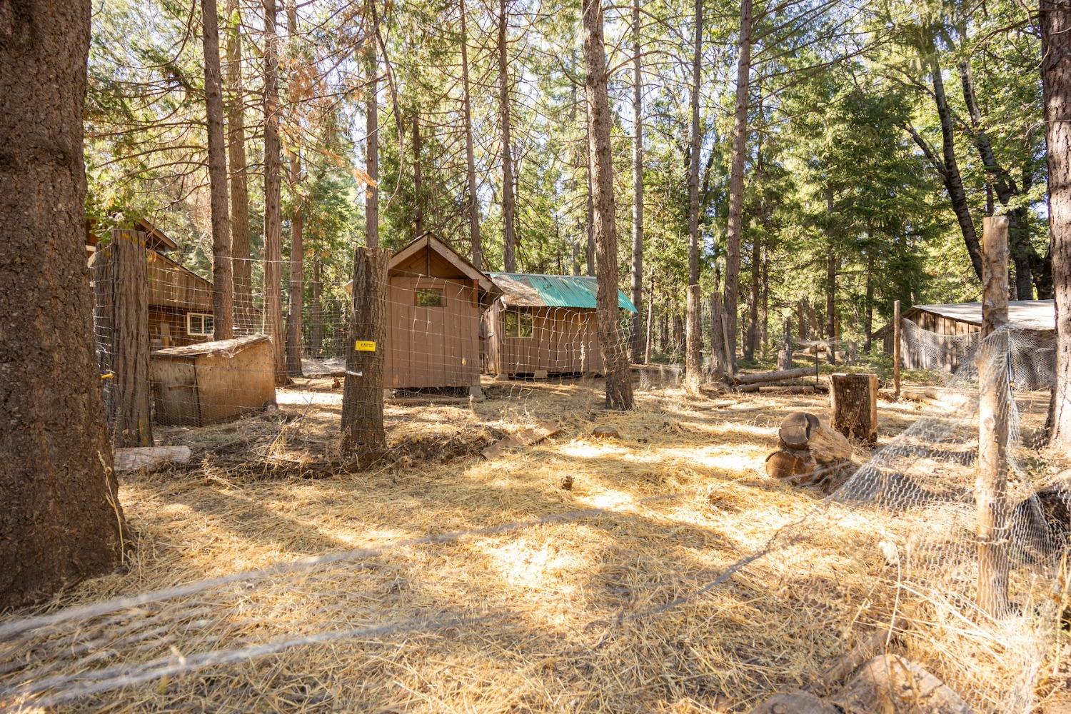 Detail Gallery Image 90 of 99 For 975 Lovers Leap Rd, Alta,  CA 95701 - 3 Beds | 2 Baths