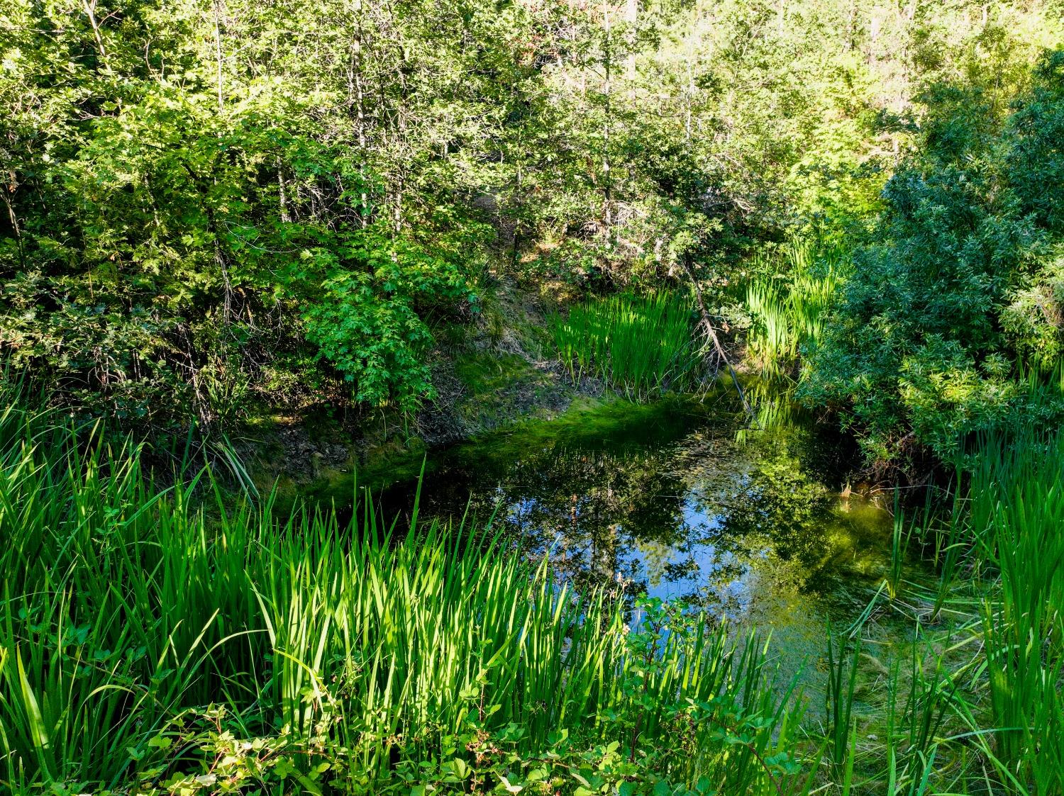 Indiana Ranch Road, Challenge, California image 41