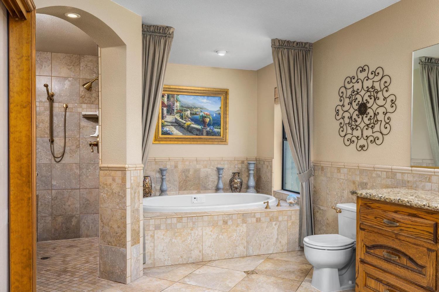 Detail Gallery Image 29 of 91 For 751 Camelia Ct, Ripon,  CA 95366 - 6 Beds | 4 Baths