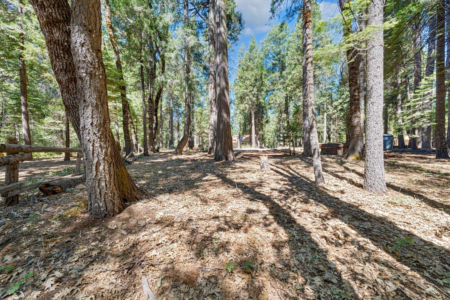 Hide Away Loop, Alta, California image 10