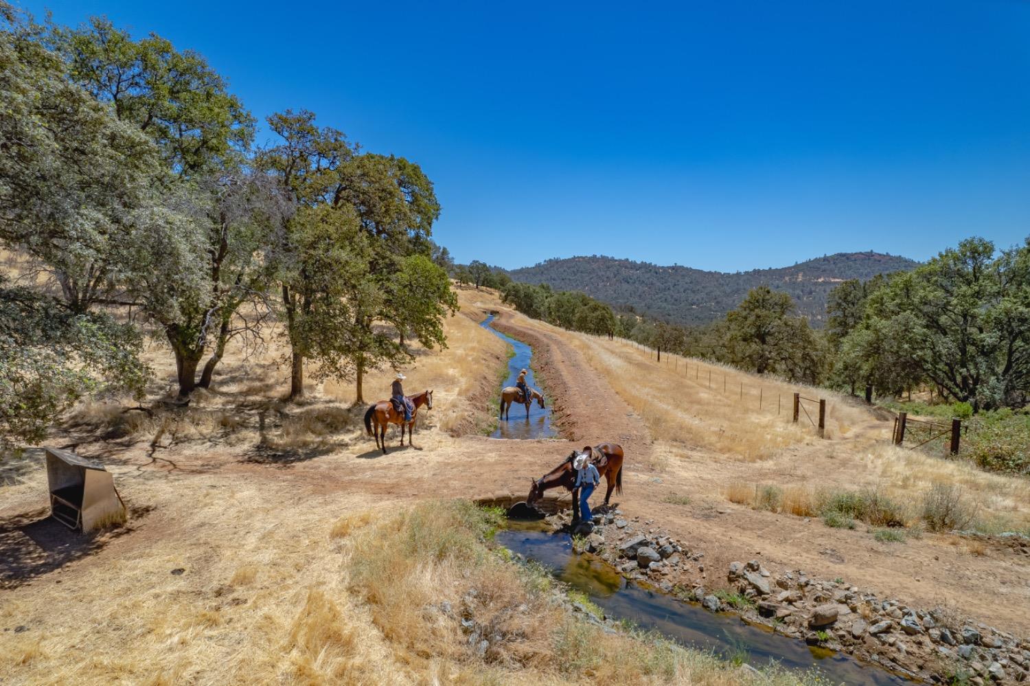 Detail Gallery Image 44 of 75 For 27044 Mccourtney, Grass Valley,  CA 95949 - – Beds | – Baths