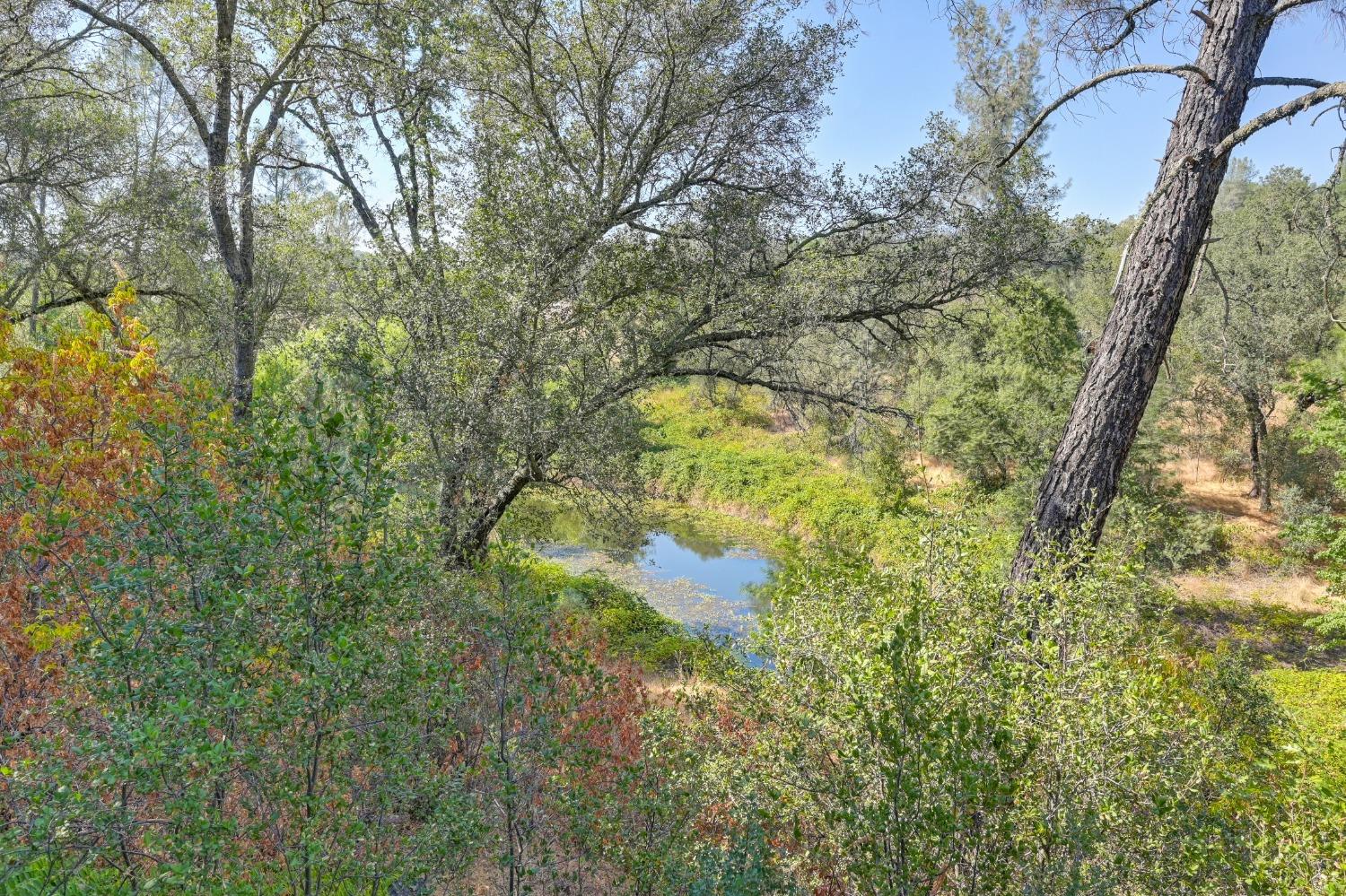 Detail Gallery Image 34 of 42 For 4460 Grass Valley Hwy, Auburn,  CA 95602 - 3 Beds | 2/1 Baths