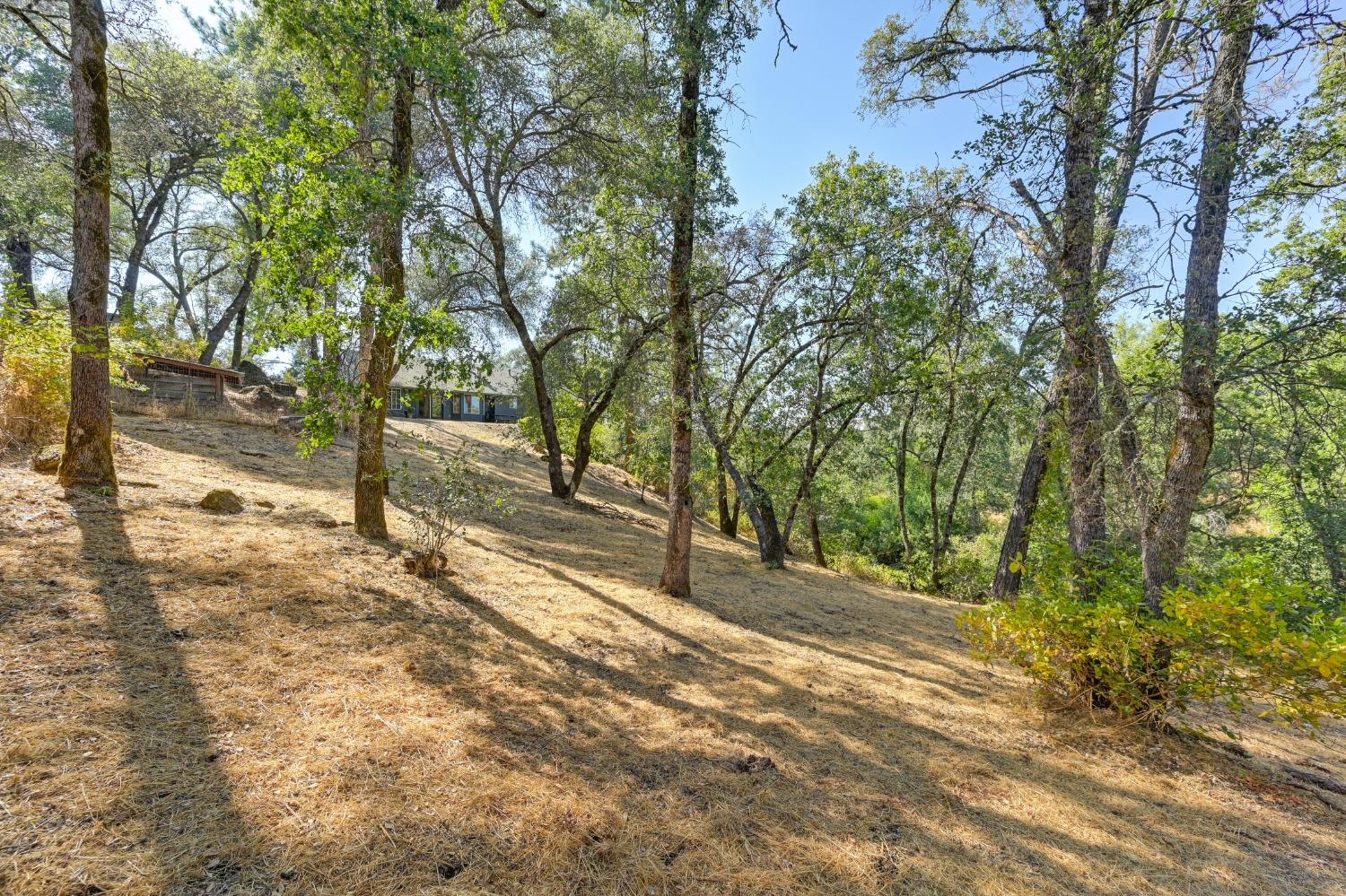 Detail Gallery Image 39 of 42 For 4460 Grass Valley Hwy, Auburn,  CA 95602 - 3 Beds | 2/1 Baths