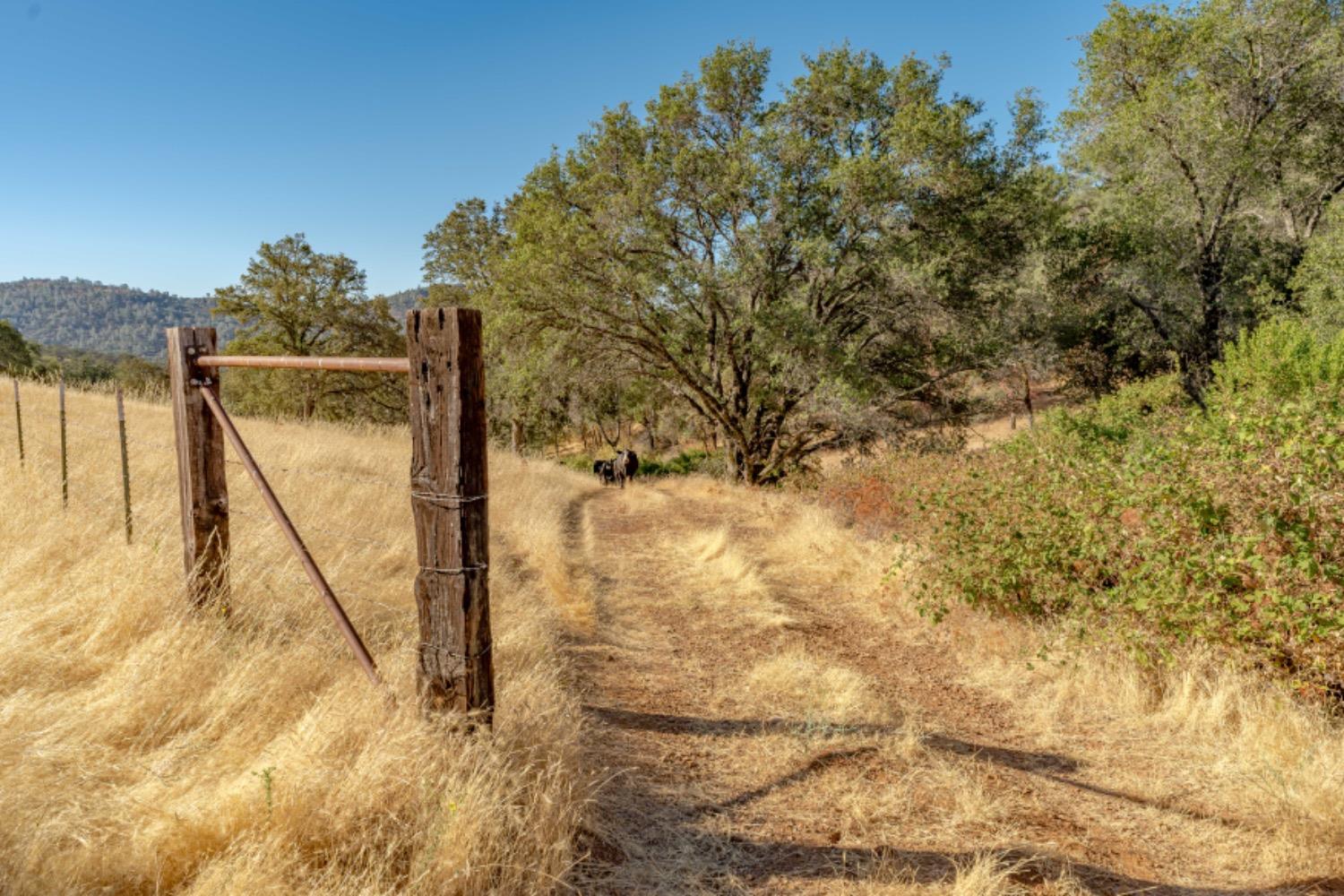 Detail Gallery Image 24 of 75 For 27044 Mccourtney, Grass Valley,  CA 95949 - – Beds | – Baths