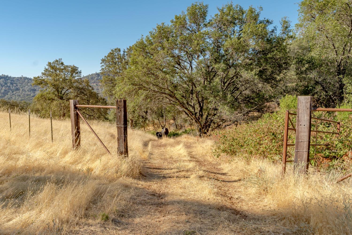 Detail Gallery Image 27 of 75 For 27044 Mccourtney, Grass Valley,  CA 95949 - – Beds | – Baths