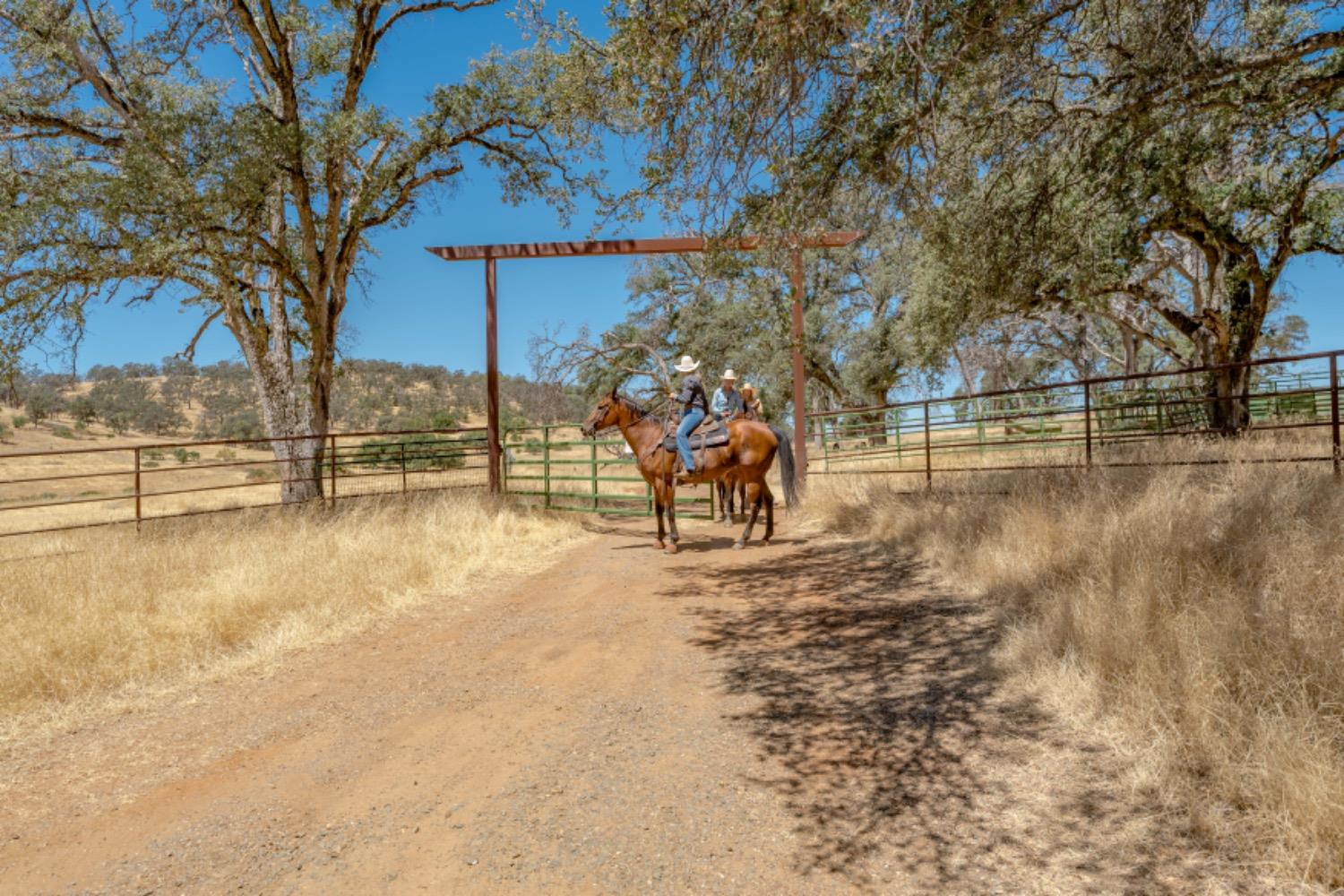 Detail Gallery Image 64 of 75 For 27044 Mccourtney, Grass Valley,  CA 95949 - – Beds | – Baths