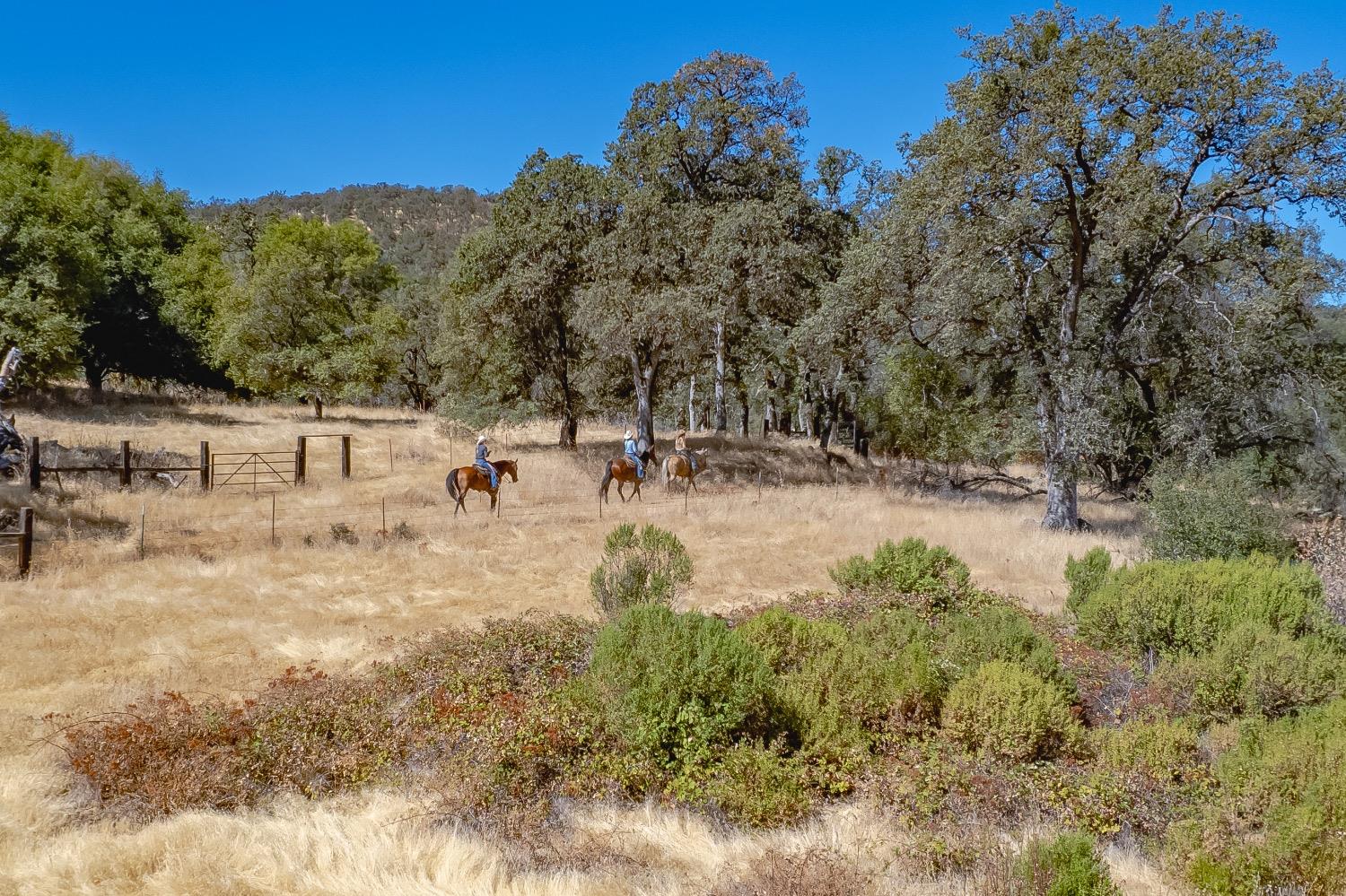 Detail Gallery Image 68 of 75 For 27044 Mccourtney, Grass Valley,  CA 95949 - – Beds | – Baths