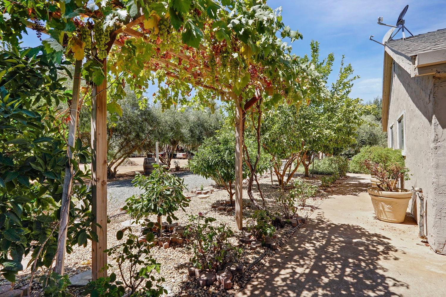 Detail Gallery Image 61 of 61 For 25048 N Dustin Rd, Acampo,  CA 95220 - 3 Beds | 2 Baths