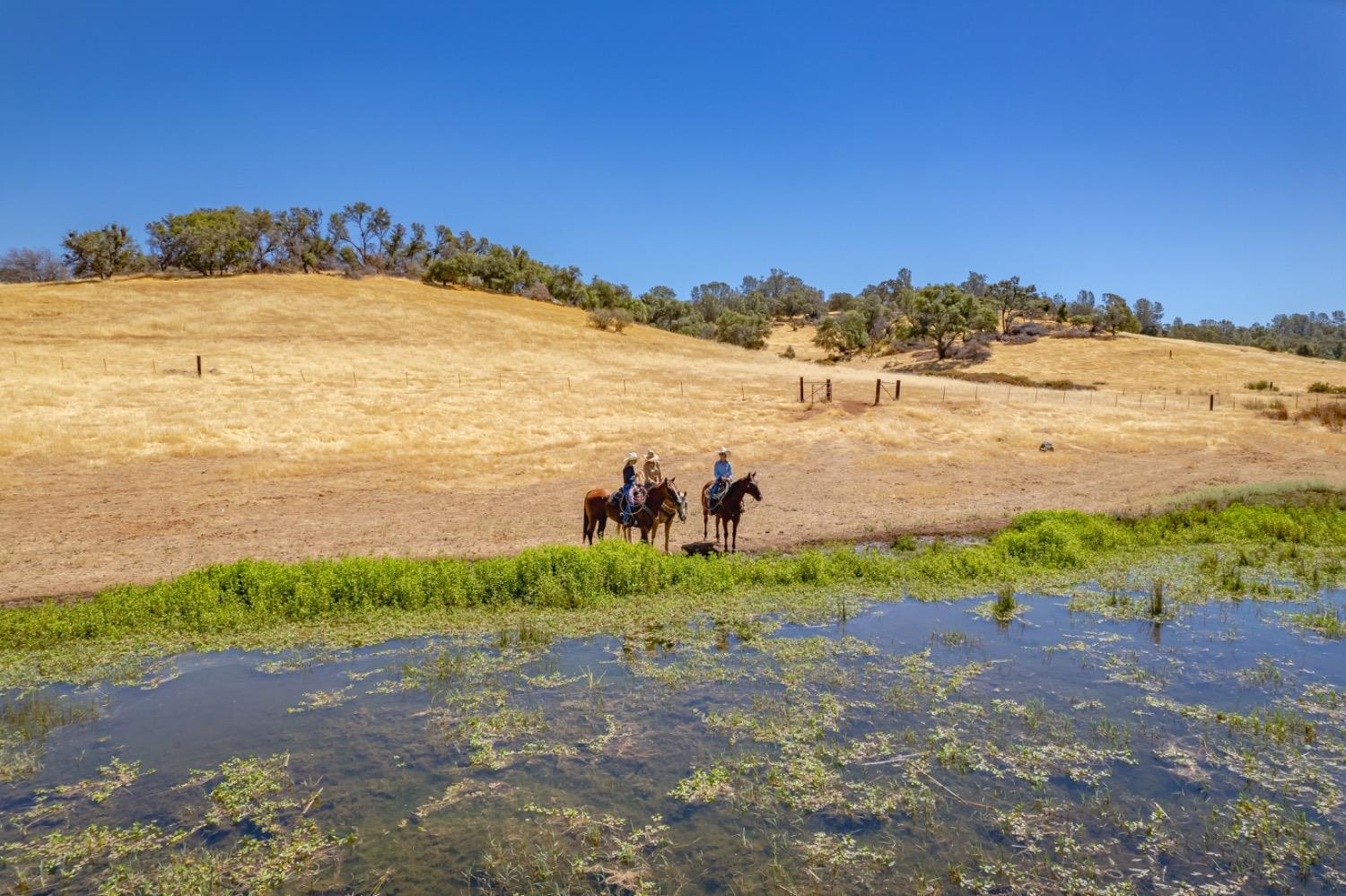 Detail Gallery Image 51 of 75 For 27044 Mccourtney, Grass Valley,  CA 95949 - – Beds | – Baths