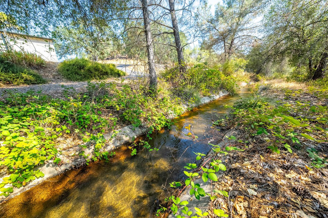 Willow Creek Trail, Cool, California image 16