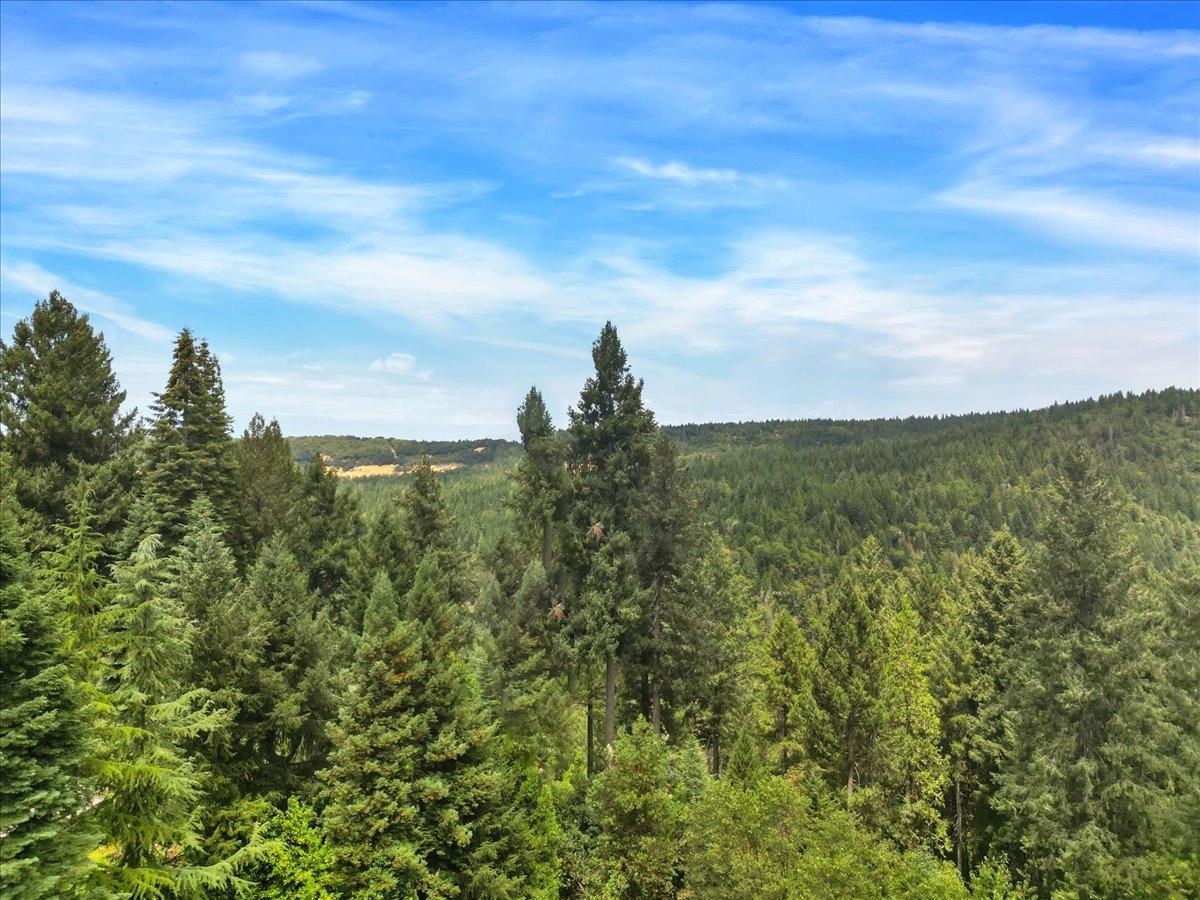 Detail Gallery Image 50 of 99 For 12590 Pasquale Rd, Nevada City,  CA 95959 - 3 Beds | 2/1 Baths