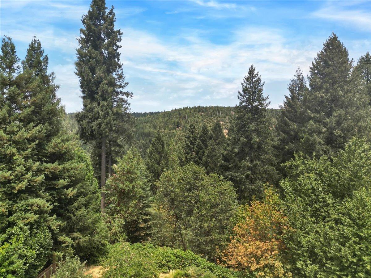 Detail Gallery Image 53 of 99 For 12590 Pasquale Rd, Nevada City,  CA 95959 - 3 Beds | 2/1 Baths