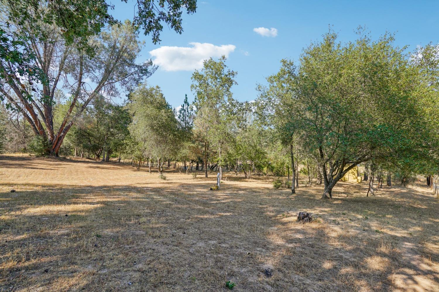 Union Mine Road, El Dorado, California image 19