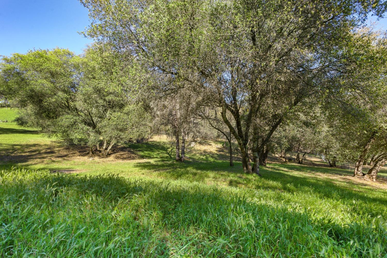 Detail Gallery Image 31 of 73 For 10381 Donna Way, Penn Valley,  CA 95946 - 4 Beds | 2 Baths