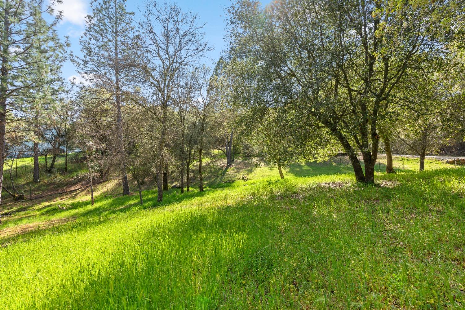 Detail Gallery Image 42 of 73 For 10381 Donna Way, Penn Valley,  CA 95946 - 4 Beds | 2 Baths