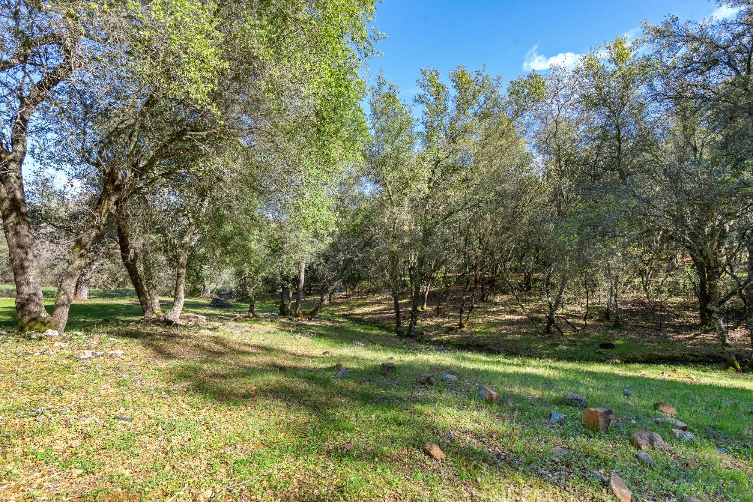 Detail Gallery Image 36 of 73 For 10381 Donna Way, Penn Valley,  CA 95946 - 4 Beds | 2 Baths