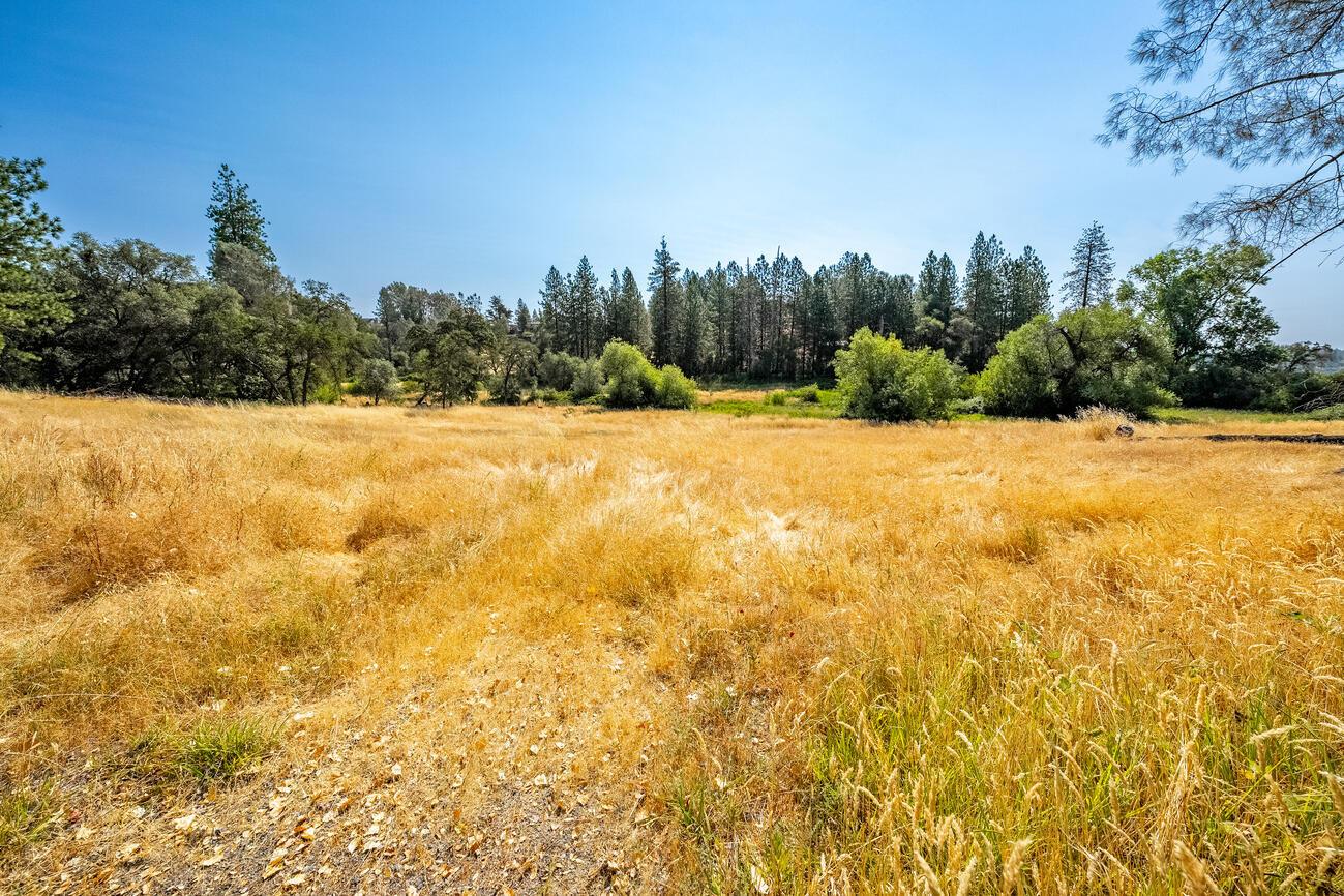 Willow Creek Trail, Cool, California image 17