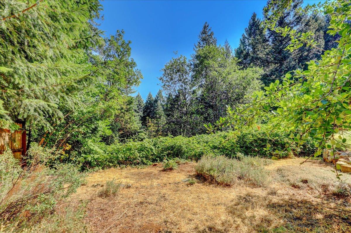 Detail Gallery Image 76 of 99 For 12590 Pasquale Rd, Nevada City,  CA 95959 - 3 Beds | 2/1 Baths