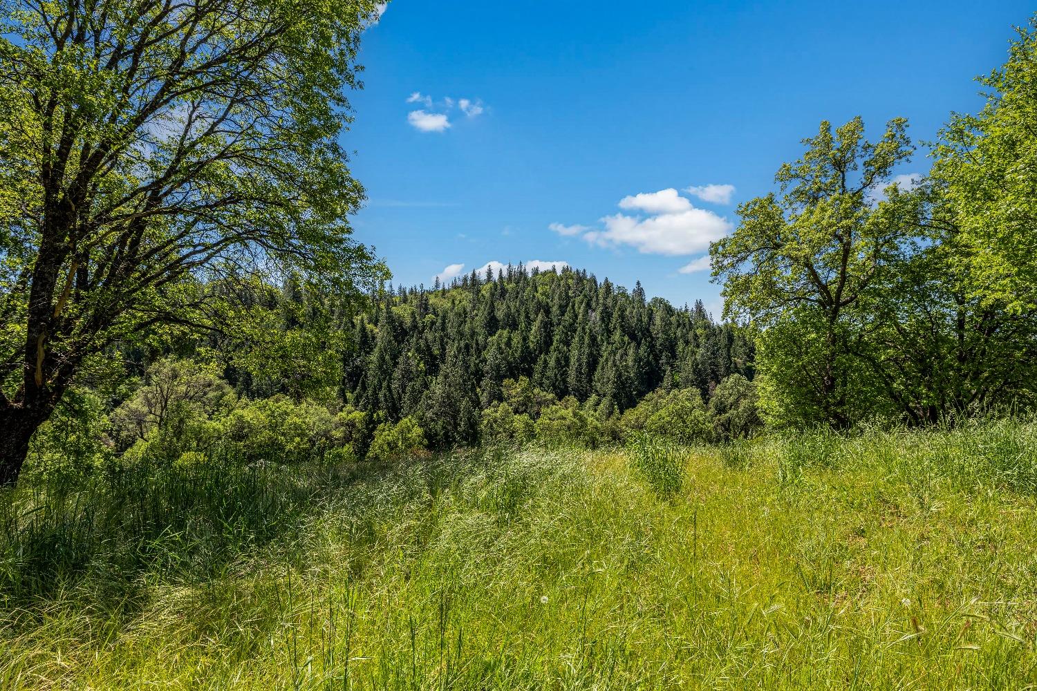 Detail Gallery Image 30 of 70 For 501 Shell Ln, Placerville,  CA 95667 - 3 Beds | 2/1 Baths