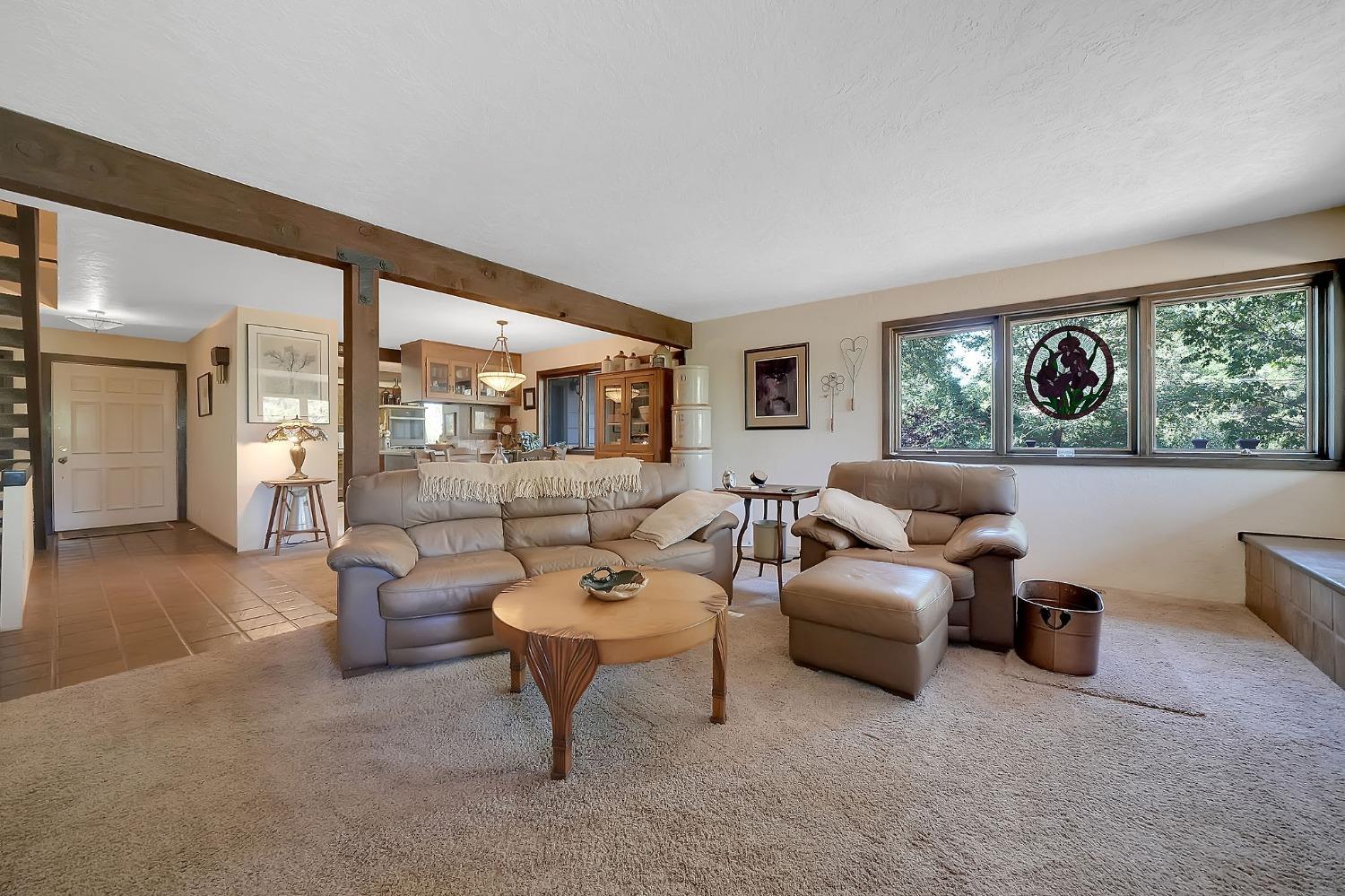 Tabeaud Road, Pine Grove, California image 35