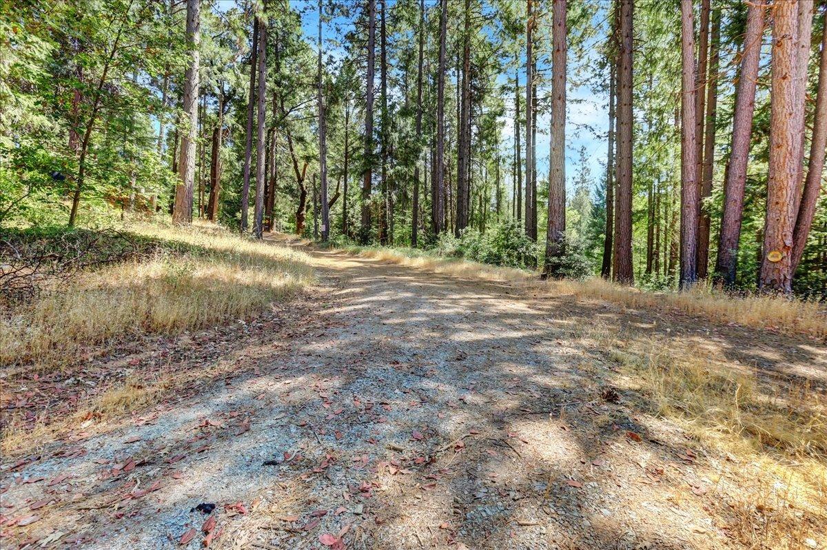 Detail Gallery Image 51 of 52 For 20100 Tyler Foote Rd, Nevada City,  CA 95959 - 3 Beds | 1/2 Baths