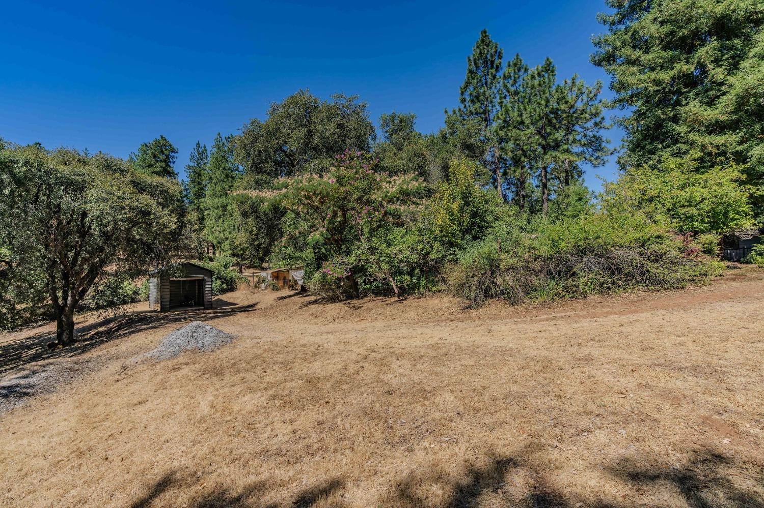 Tabeaud Road, Pine Grove, California image 24