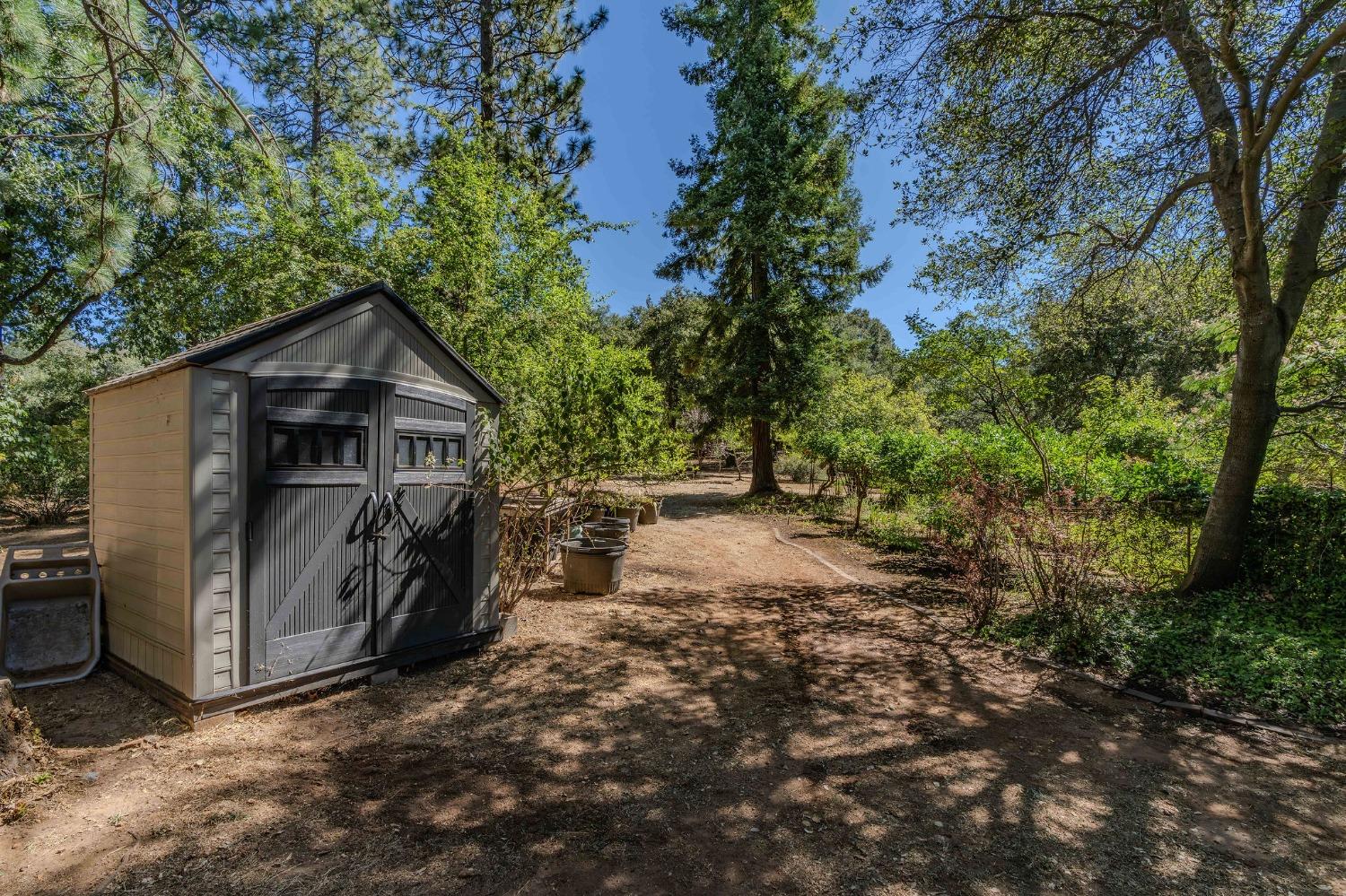 Tabeaud Road, Pine Grove, California image 22