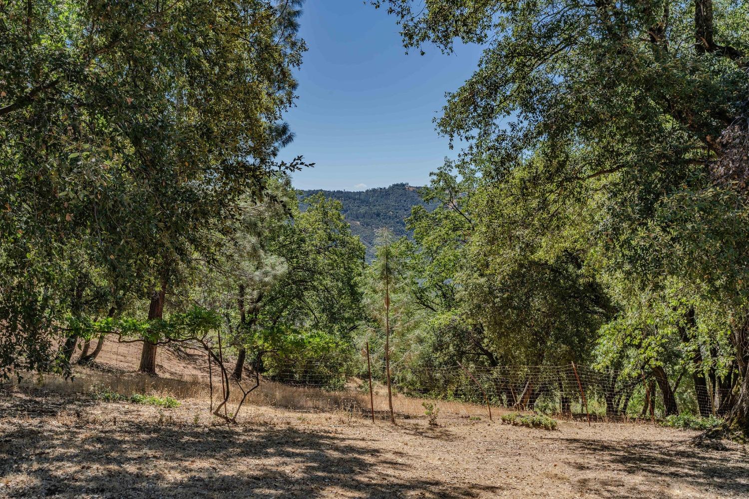 Tabeaud Road, Pine Grove, California image 25