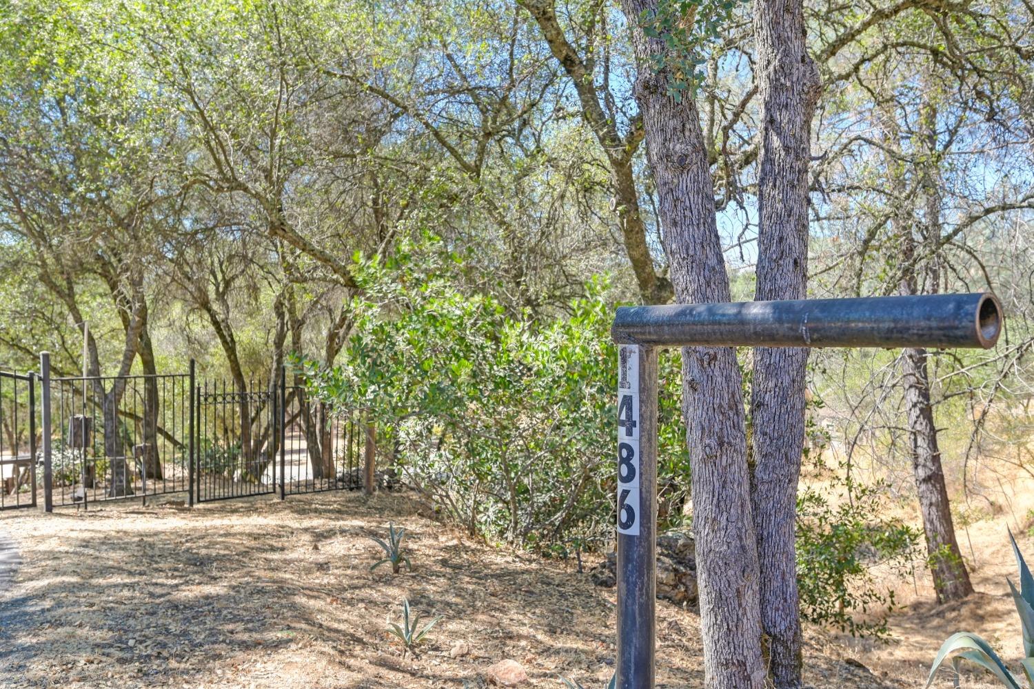 Detail Gallery Image 8 of 99 For 1486 Golden Spur Dr, Placerville,  CA 95667 - 3 Beds | 2 Baths