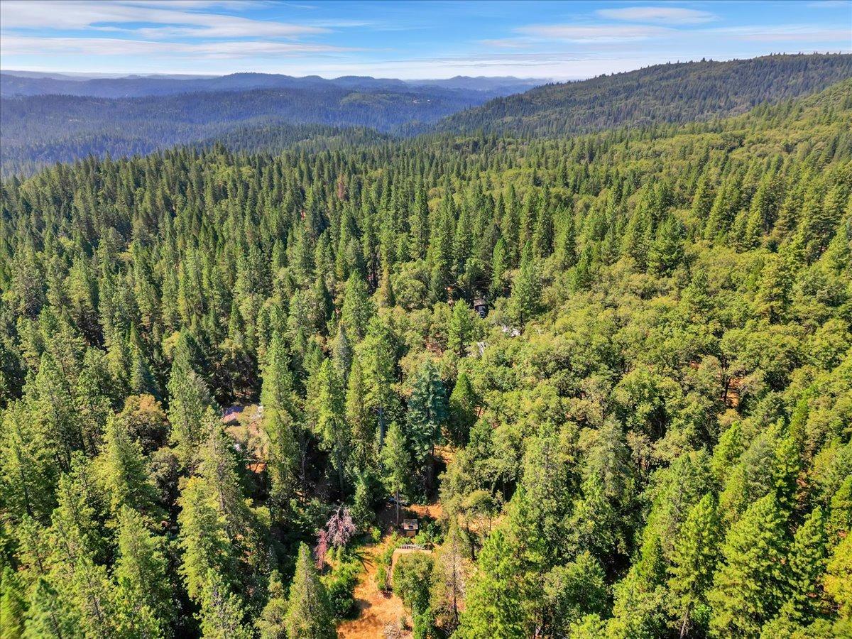 Detail Gallery Image 31 of 52 For 11728 Buckeye Rd, Nevada City,  CA 95959 - 1 Beds | 1 Baths