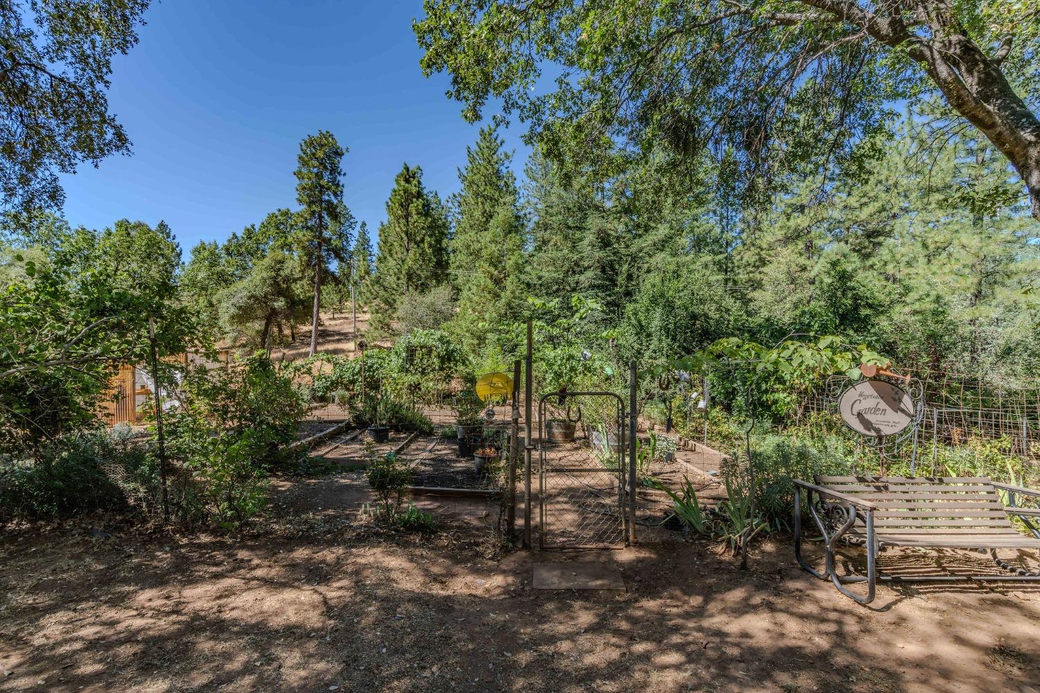 Tabeaud Road, Pine Grove, California image 15