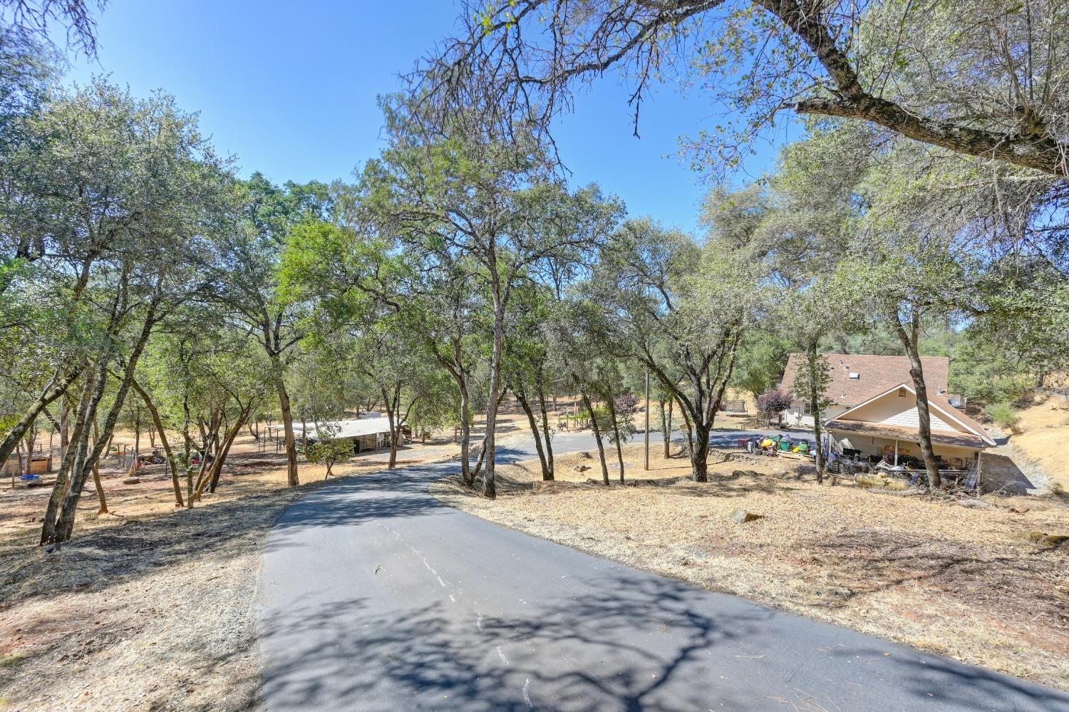 Detail Gallery Image 10 of 99 For 1486 Golden Spur Dr, Placerville,  CA 95667 - 3 Beds | 2 Baths