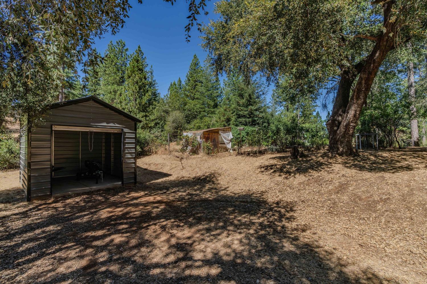 Tabeaud Road, Pine Grove, California image 19