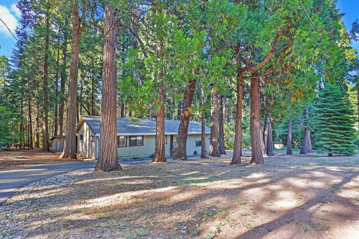 Detail Gallery Image 30 of 32 For 6307 Pine, Pollock Pines,  CA 95726 - 3 Beds | 2 Baths