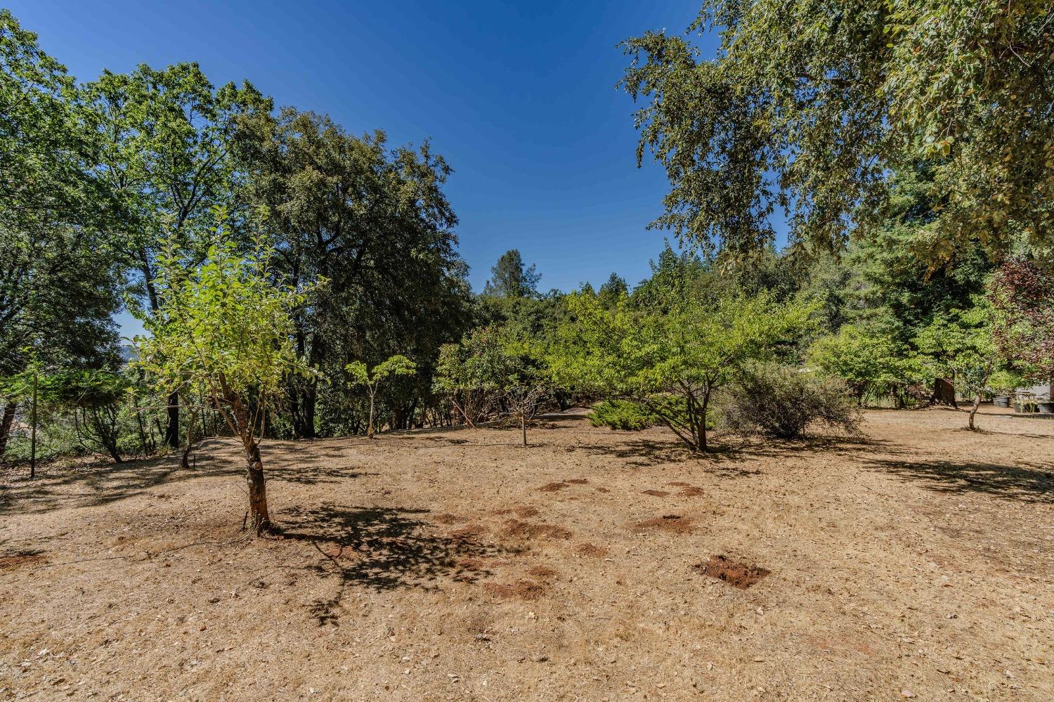 Tabeaud Road, Pine Grove, California image 26