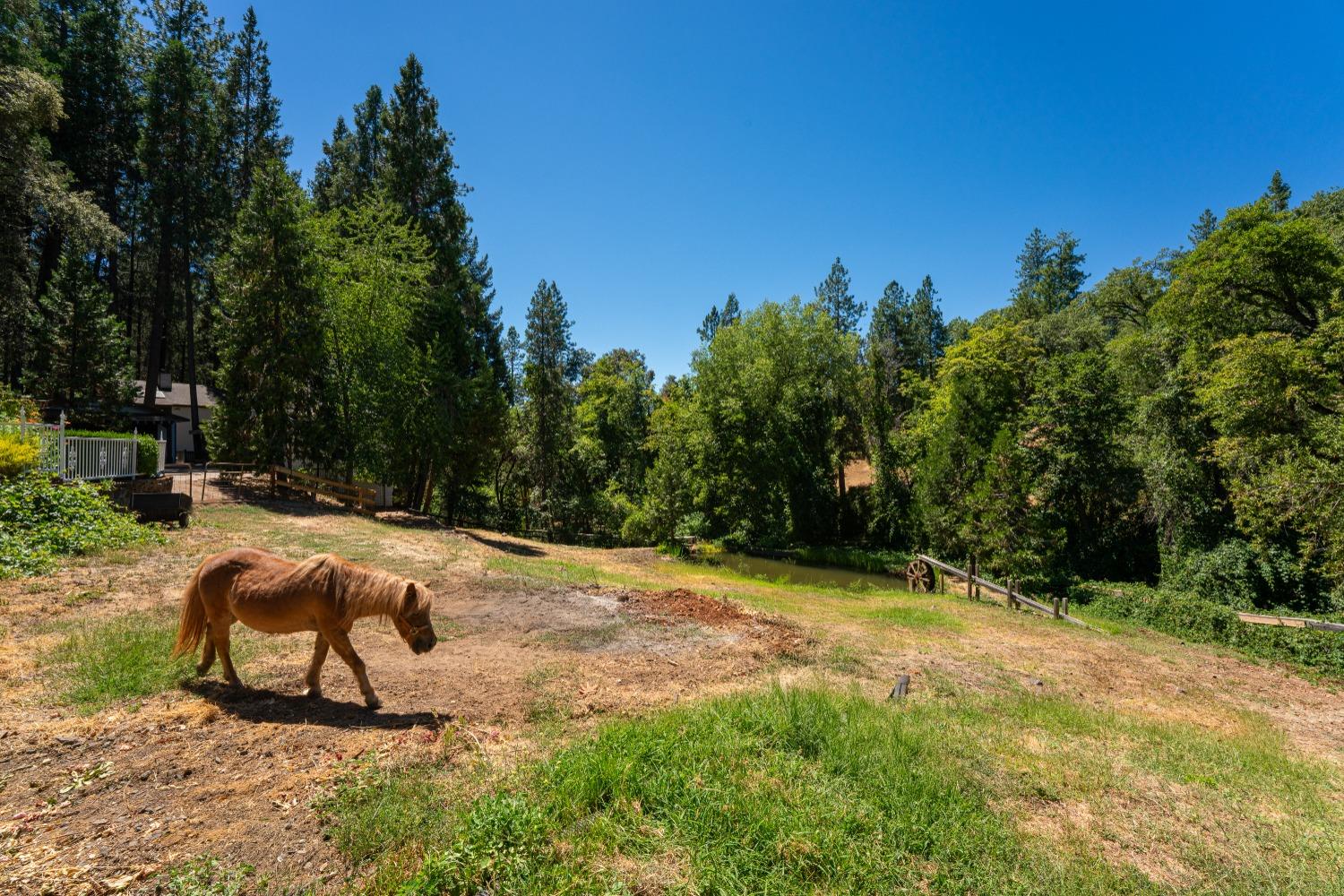 Mckeon Ponderosa Way, Foresthill, California image 4