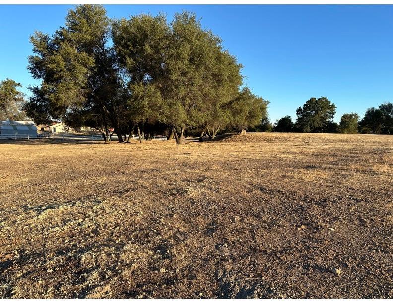 Sagebrush Court, Valley Springs, California image 11