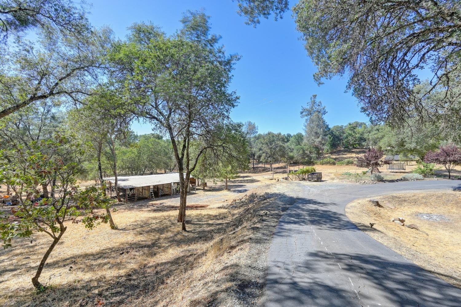 Detail Gallery Image 11 of 99 For 1486 Golden Spur Dr, Placerville,  CA 95667 - 3 Beds | 2 Baths