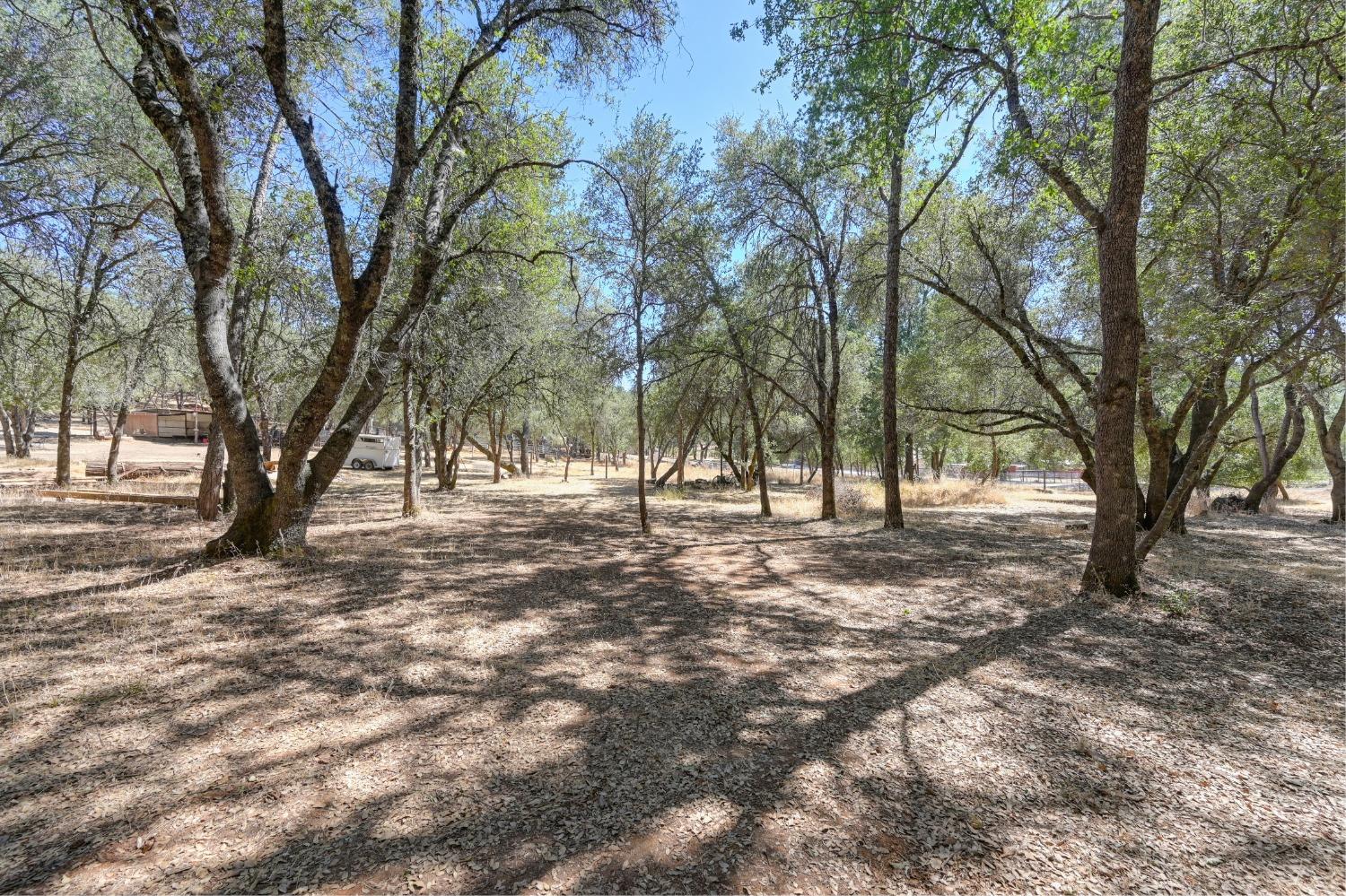 Detail Gallery Image 81 of 99 For 1486 Golden Spur Dr, Placerville,  CA 95667 - 3 Beds | 2 Baths