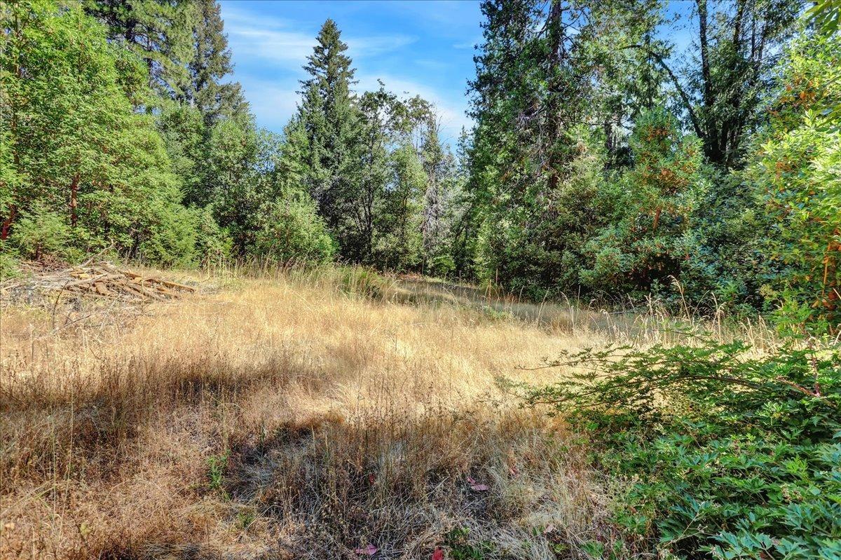 Detail Gallery Image 50 of 52 For 11728 Buckeye Rd, Nevada City,  CA 95959 - 1 Beds | 1 Baths