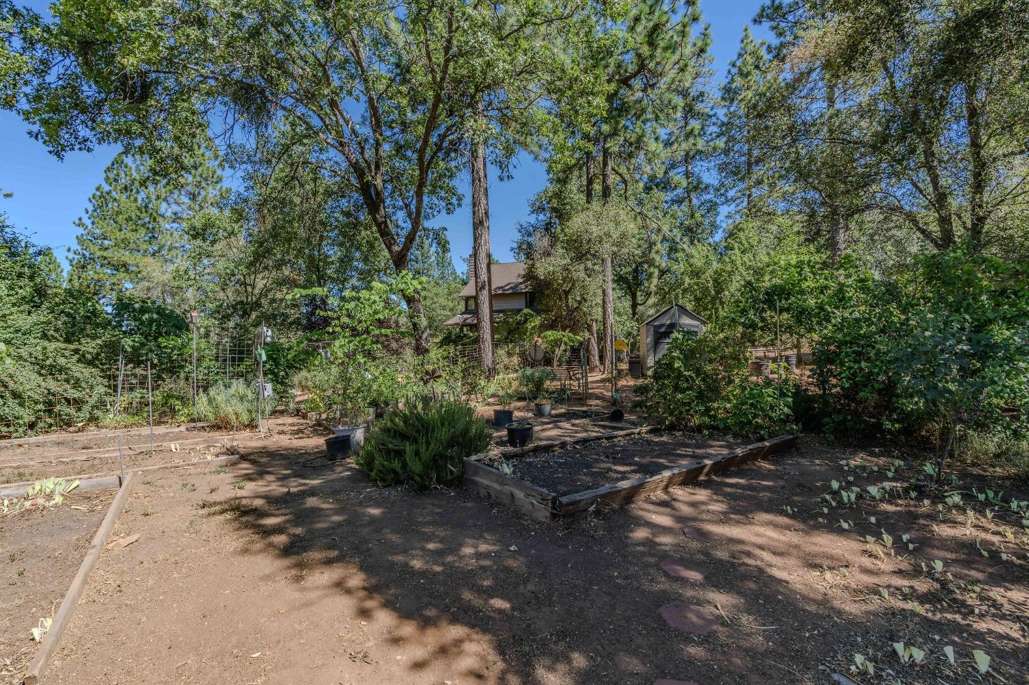 Tabeaud Road, Pine Grove, California image 21