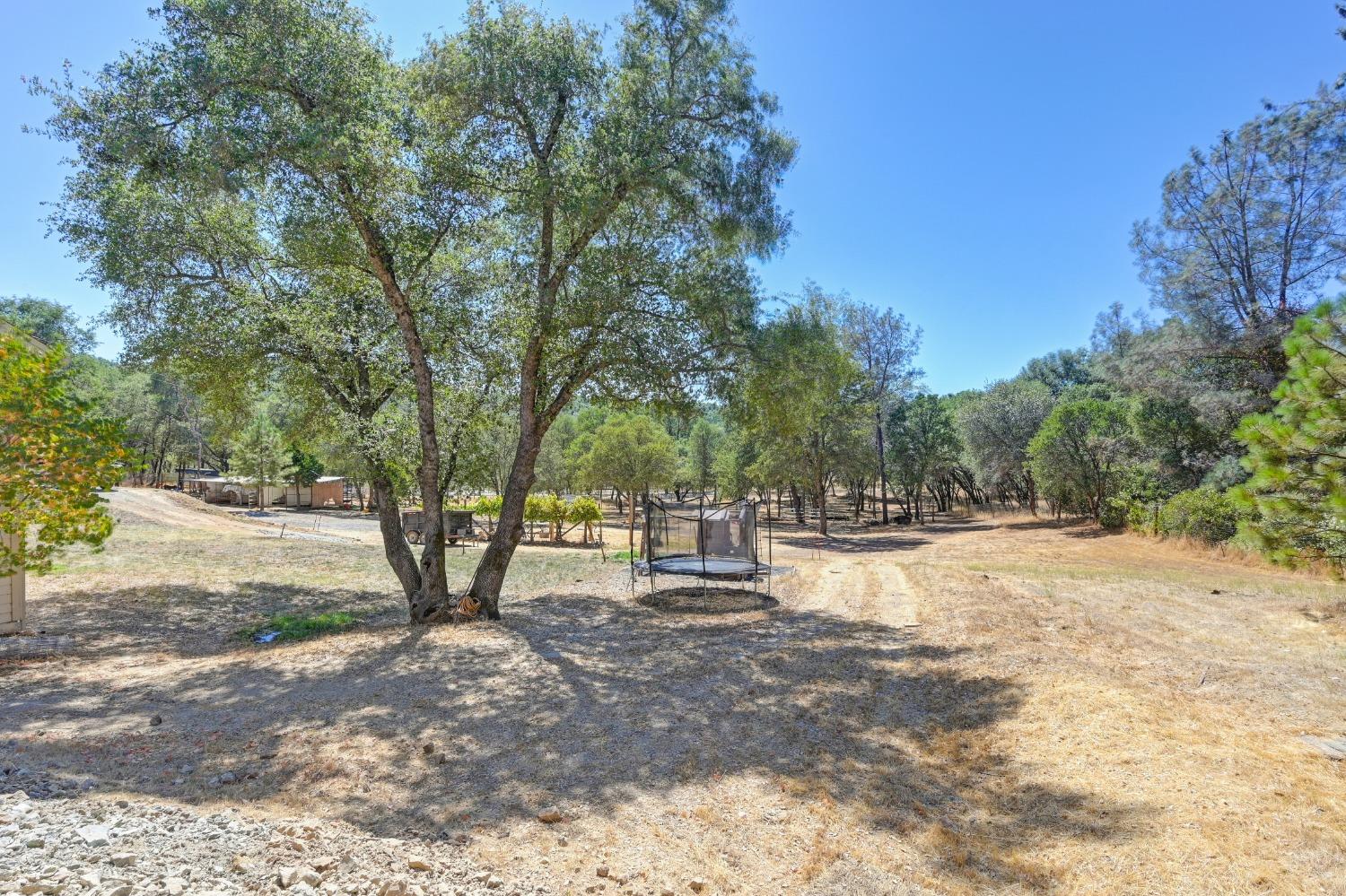 Detail Gallery Image 78 of 99 For 1486 Golden Spur Dr, Placerville,  CA 95667 - 3 Beds | 2 Baths