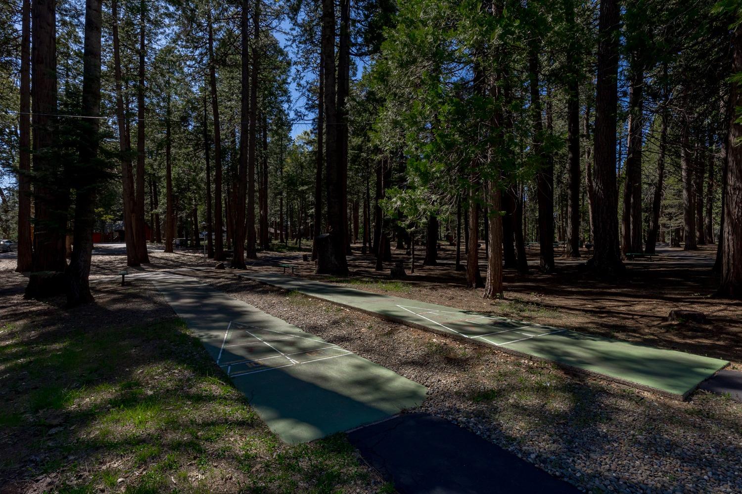 Detail Gallery Image 35 of 45 For 6725 Onyx, Pollock Pines,  CA 95726 - 3 Beds | 2/1 Baths