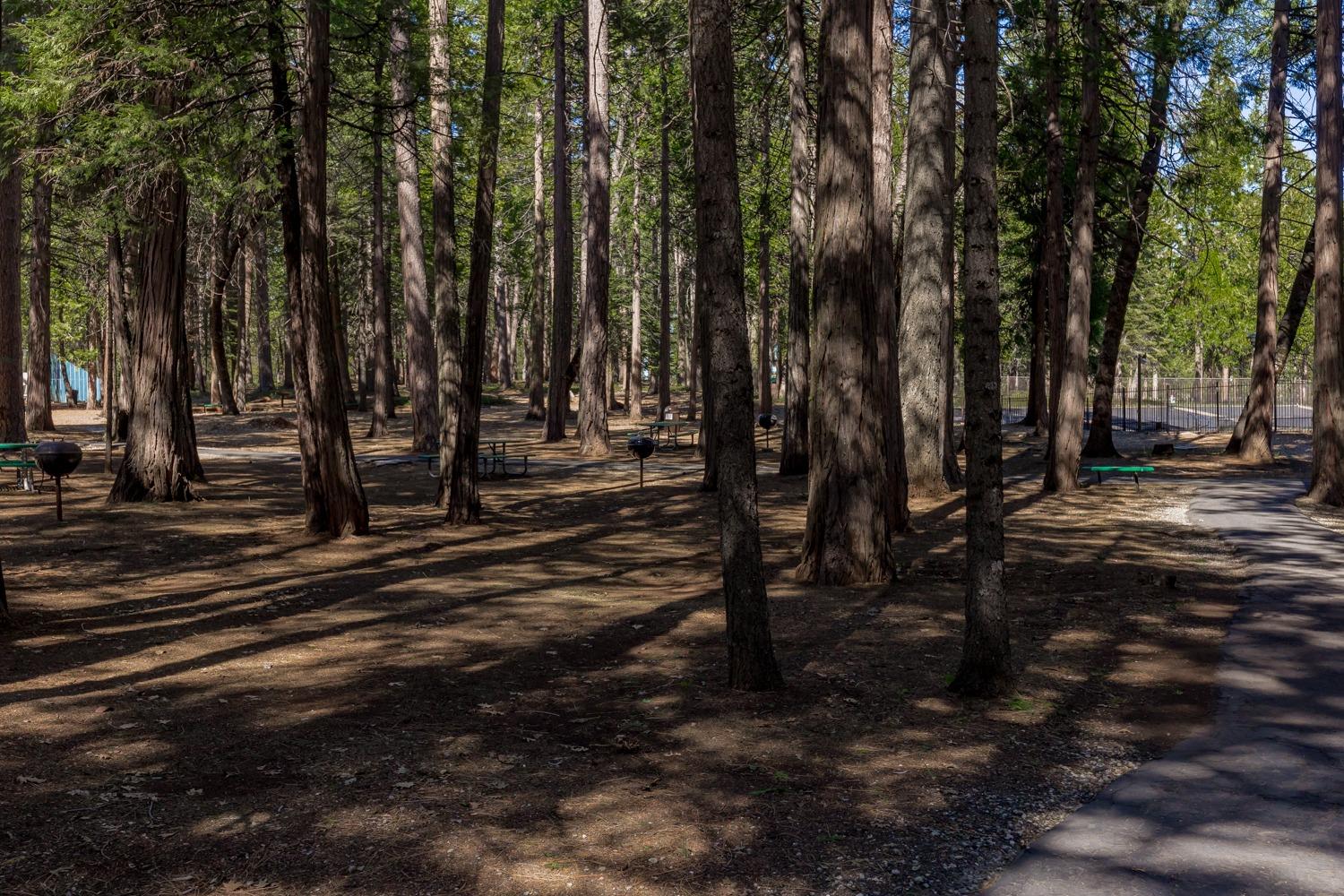 Detail Gallery Image 34 of 45 For 6725 Onyx, Pollock Pines,  CA 95726 - 3 Beds | 2/1 Baths