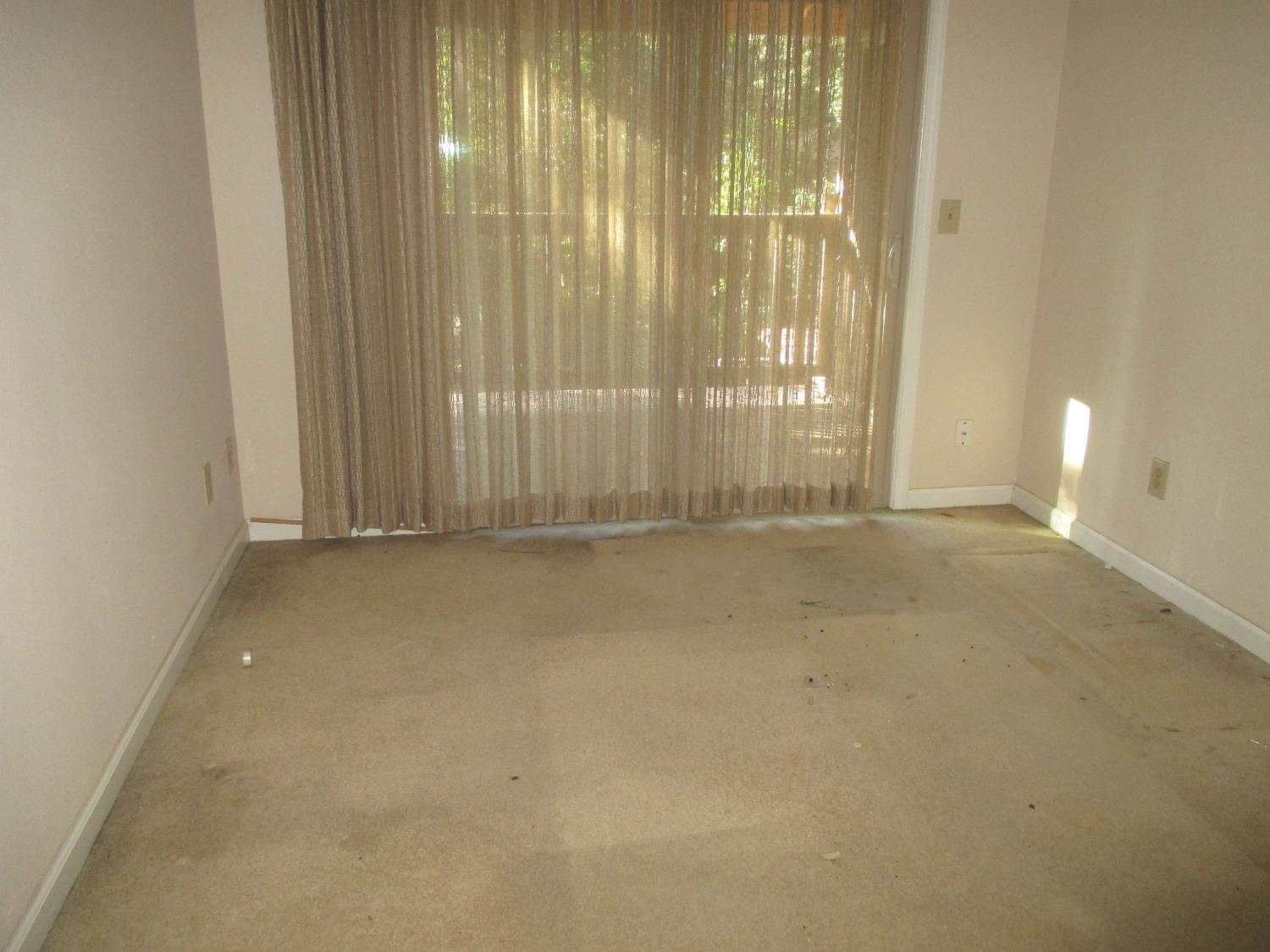 Photo #11: 224060184 Listing 