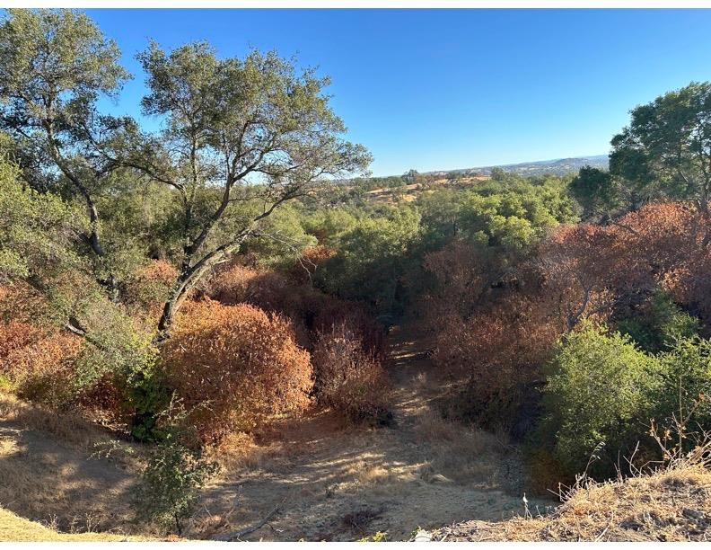 Sagebrush Court, Valley Springs, California image 31