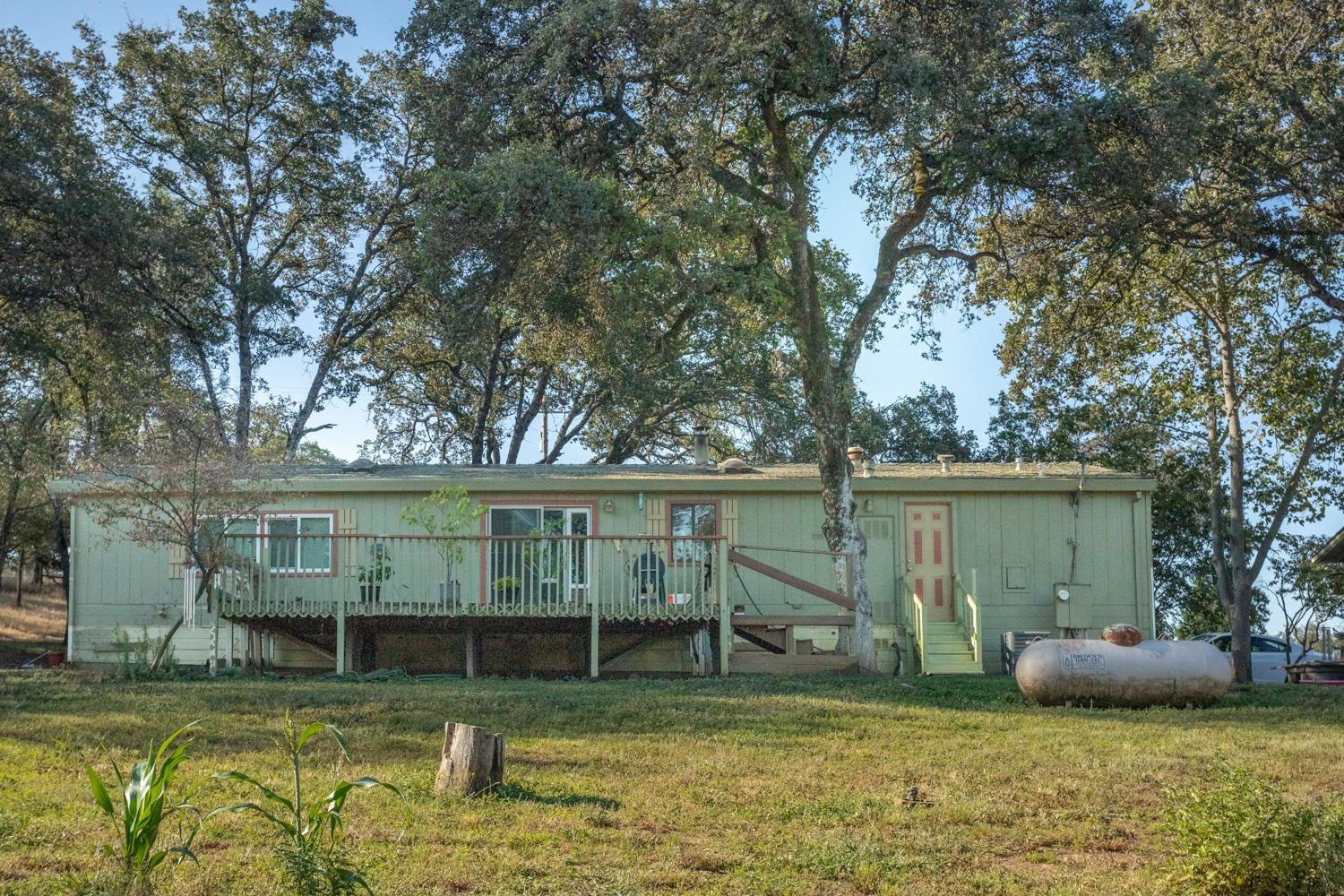 White Oak Lane, Browns Valley, California image 5