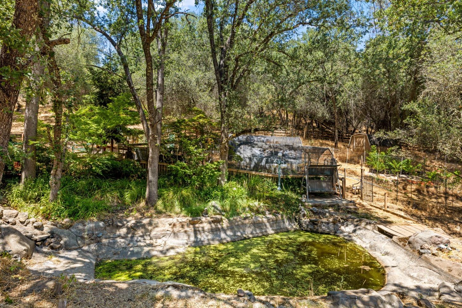 Detail Gallery Image 52 of 90 For 1720 Pleasant Ranch Ct, Placerville,  CA 95667 - 3 Beds | 2 Baths