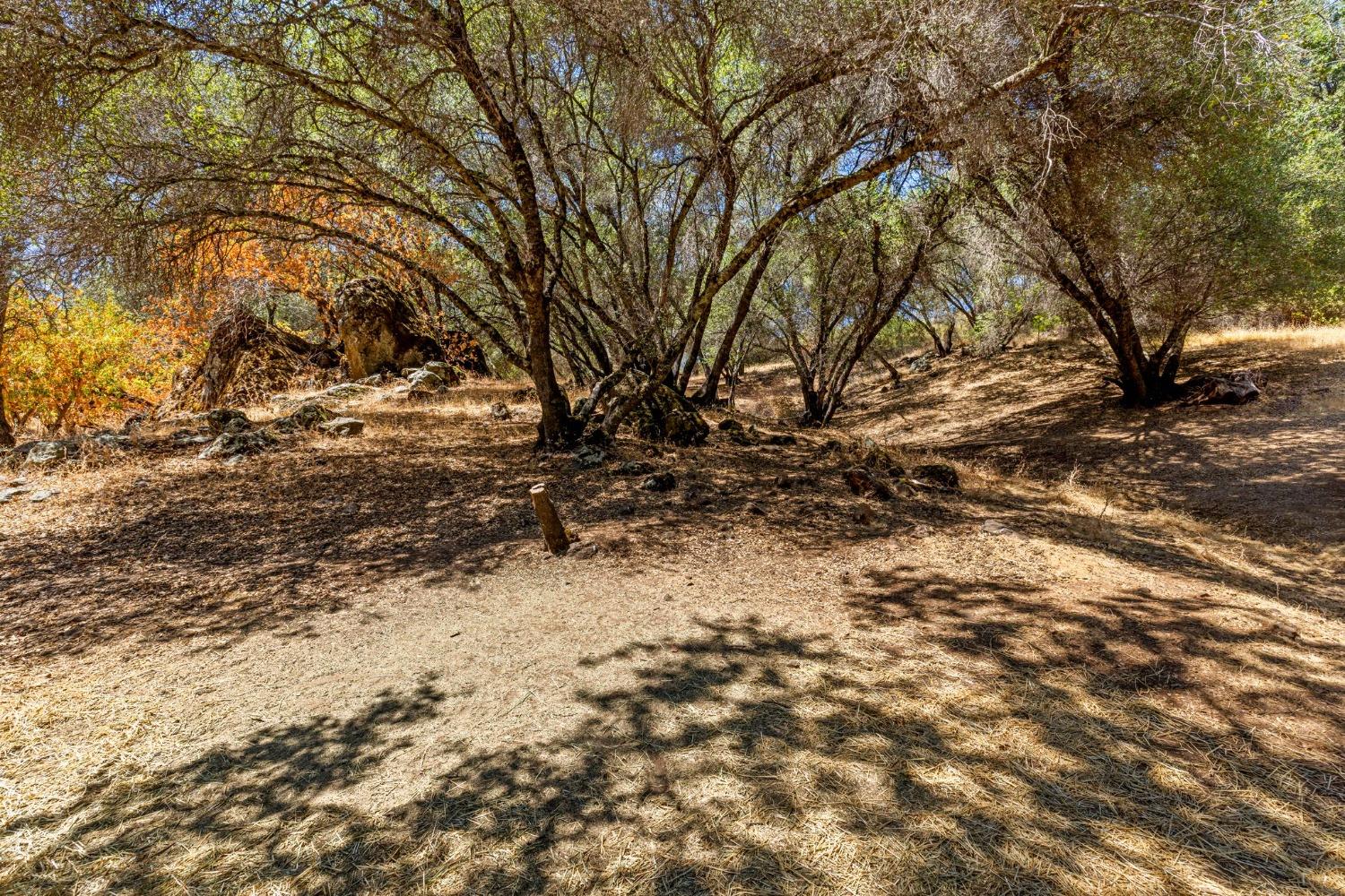 Detail Gallery Image 83 of 90 For 1720 Pleasant Ranch Ct, Placerville,  CA 95667 - 3 Beds | 2 Baths