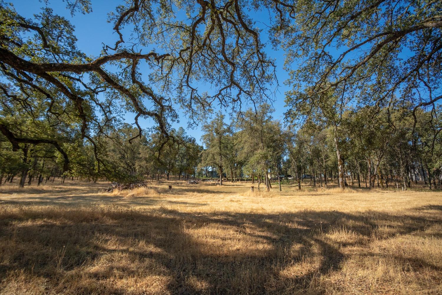 White Oak Lane, Browns Valley, California image 36